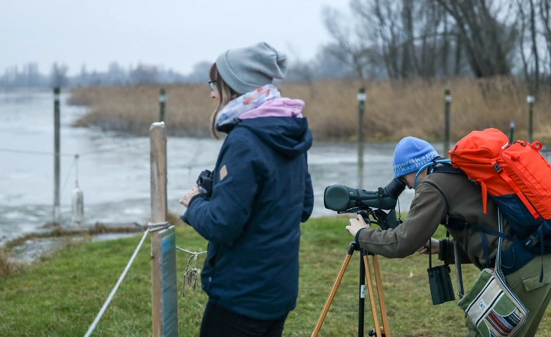 Naturerlebnis Bodensee ${singleEventLocation} Billets