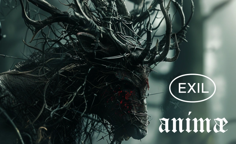 Animae Exil, Hardstrasse 245, 8005 Zürich Tickets