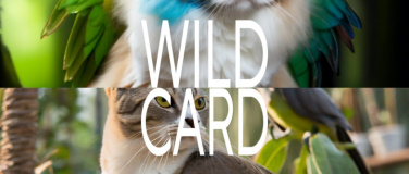 Event-Image for 'Wild Card'