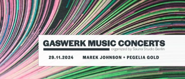 Event-Image for 'Gaswerk Music Concerts - Marek Johnson + Pegelia Gold'