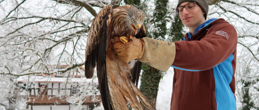 Event-Image for 'Besuch der Greifvogelstation: Schwerpunktthema Hungervögel'