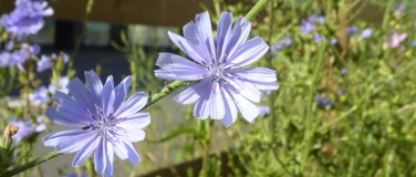 Event-Image for 'Naturförderung in der Gemeinde'