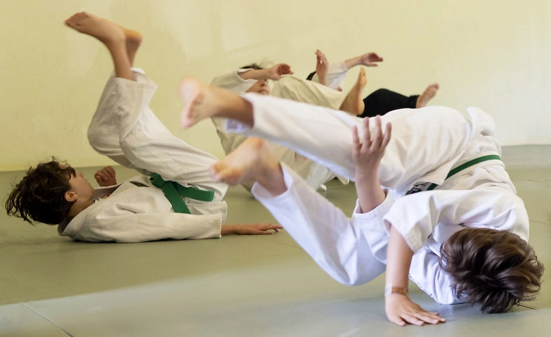 Aikido für Kinder (6 bis 12 Jahre) Aikido Ennetbaden, Badstrasse 9, 5408 Ennetbaden Billets