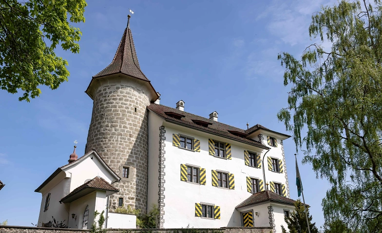 Event-Image for 'Führungen im Schloss Schauensee'