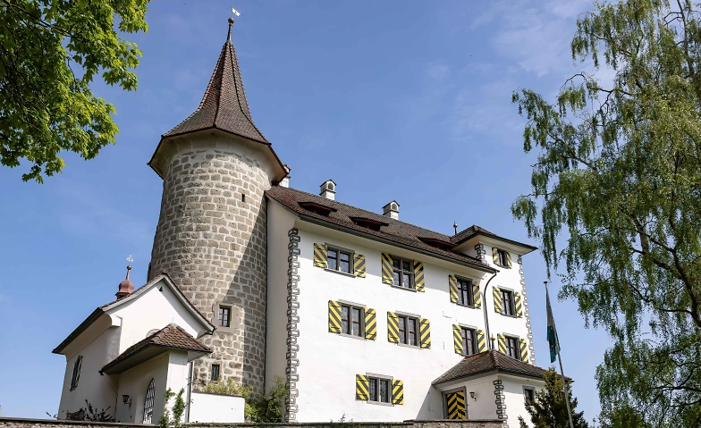 F&uuml;hrungen im Schloss Schauensee ${singleEventLocation} Tickets