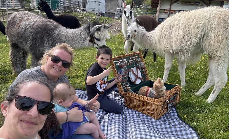 Event-Image for 'Picknick inmitten Alpakas -  Hägendorf'