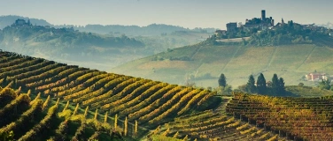 Event-Image for 'Barolo e Barbaresco - Cru a confronto'