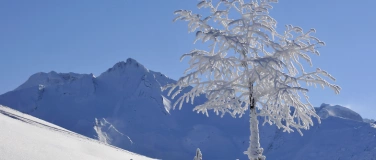 Event-Image for 'Maria-Rickenbach Schneeschuhtour Steinalp-Niederrickenbach'