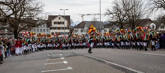 Event organiser of Altstätter Fasnacht 2025 - Ticket NUR für Sonntag