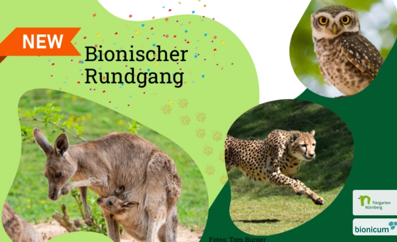 Event-Image for 'Bionischer Rundgang 2.0'