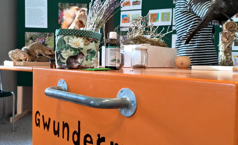 Event-Image for 'Gwunderstunde: Schnecken'