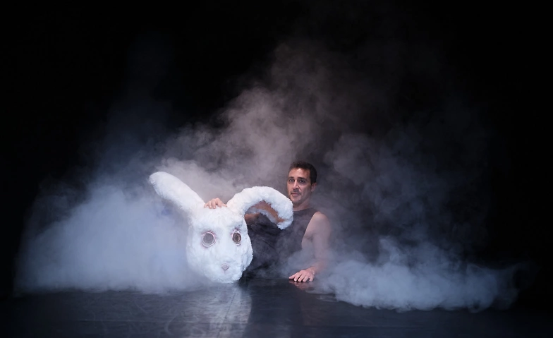 Event-Image for 'SMOKE I Compagnie Philippe Saire'