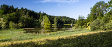 Event-Image for 'Führung um den Wenigerweiher'