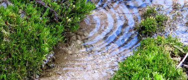 Event-Image for 'Quellen - wertvoll für Mensch und Natur'