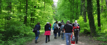 Event-Image for 'Zäme go Laufe ab 60 Jahre zum  Höriberg 8.9 Km'