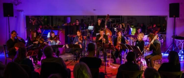 Event-Image for 'Konzert - Das seltene Orchester'