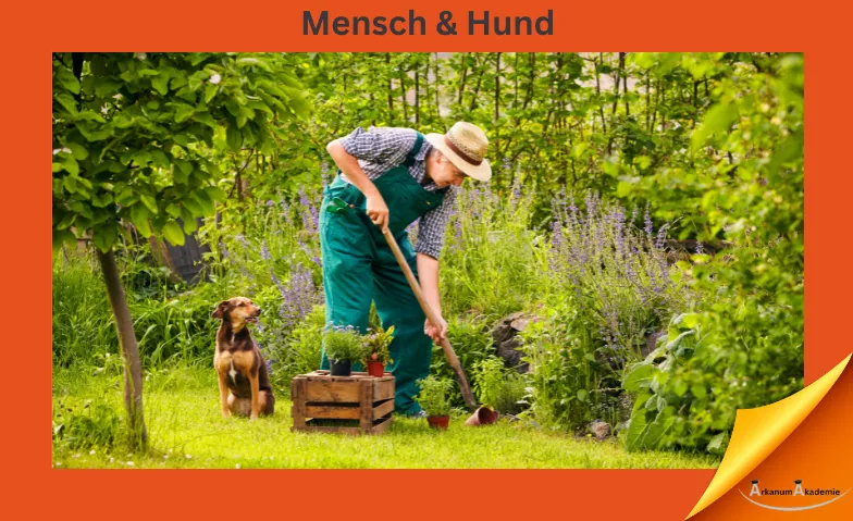 Mensch und Hund - ausgerichtete Basisarbeit ArkanumAkademie, Oberrindal 39, 9604 Oberrindal Tickets