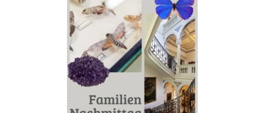 Event-Image for 'Familien-Nachmittag im Museum'