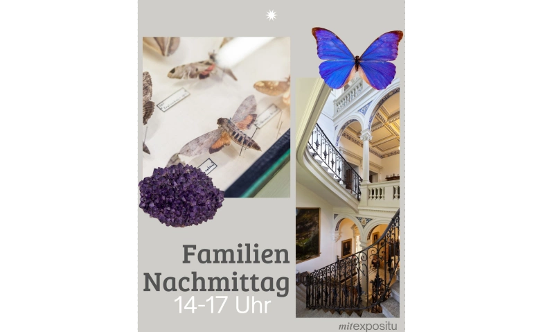 Event-Image for 'Familien-Nachmittag im Museum'