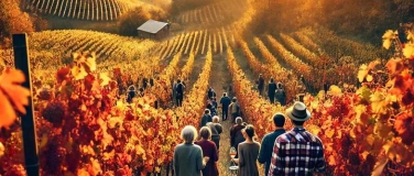 Event-Image for 'Weinwanderung im goldenen Herbst mit Weinverkostung'