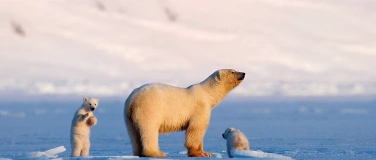 Event-Image for 'Auf Wiedersehen Eisbär - Leben auf Spitzbergen'