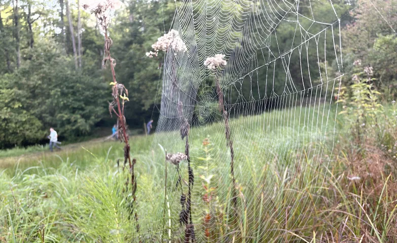 Im Einsatz für die Natur im Biotop Bösmösli Naturschutzgebiet Bösmösli, Solistrasse 220, 8180 Bülach Tickets