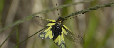 Event-Image for 'Naturjuwelen in Eglisau und Umgebung'