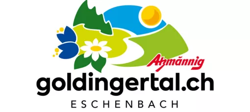 Organisateur de Atzmännig-Märt am Holzsymposium