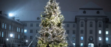 Event-Image for 'Feierliche Vernissage Weihnachtsbaum auf dem Klosterplatz'