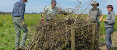 Event-Image for 'Natur verbindet – Wieselburgen mit Bodenseesicht'