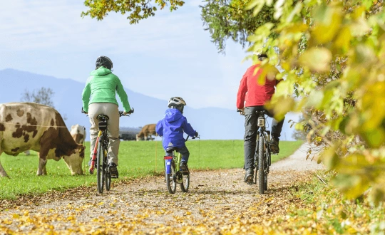 Outdoor Smartphone Stadrallye in Stuttgart Stuttgart, Geißstraße 12, 70173 Stuttgart Tickets