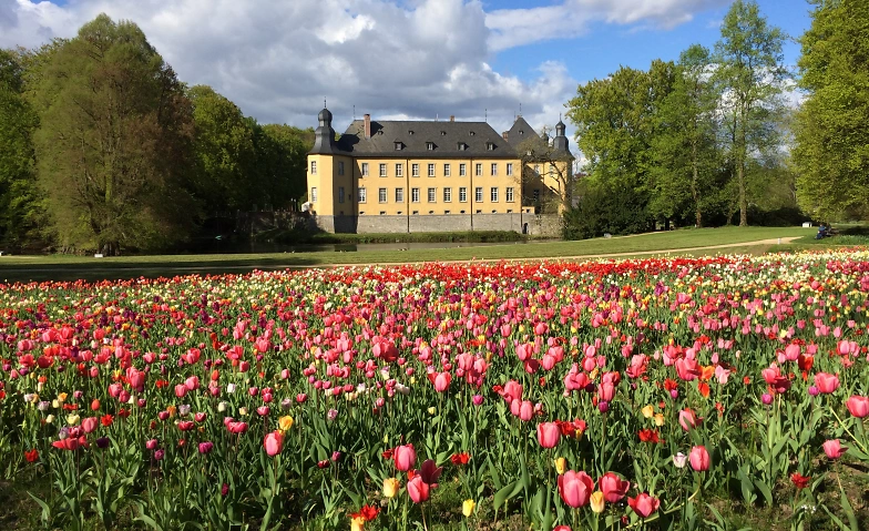 Schlossfr&uuml;hling in Schloss Dyck ${singleEventLocation} Tickets