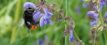 Event-Image for 'Biodiversitätsführung'