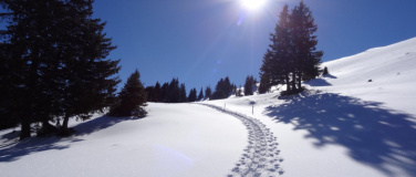 Event-Image for 'Tages-Schneeschuhtour Buchserberg'