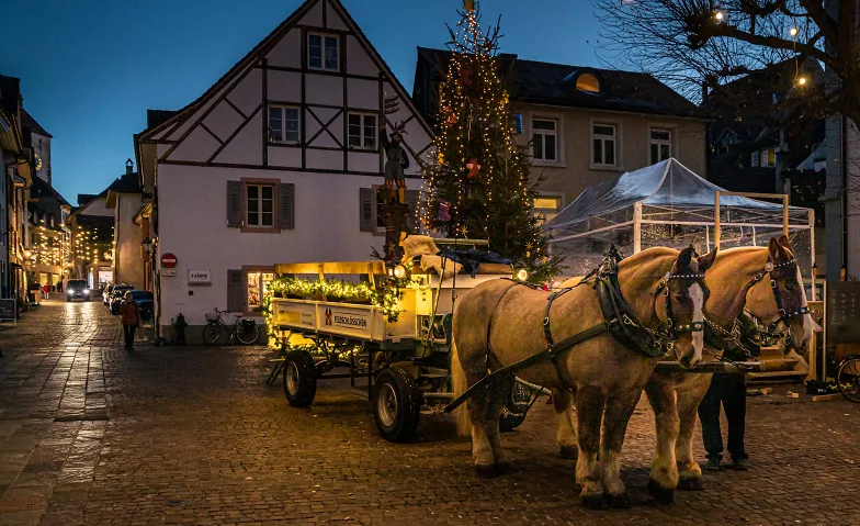 Kutschenfahrten Rheinfelden: Feldschlösschen - Schifflände Feldschlösschen Brauwelt, Feldschlösschenstrasse 32, 4310 Rheinfelden Tickets