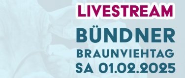 Event-Image for 'Bündner Braunviehtag 2025'