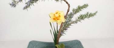 Event-Image for 'Entspannung mit japanischem Ikebana'