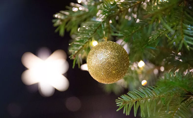 Christkindlimarkt St.Gallen Gallusplatz, 9000 Saint-Gall Billets