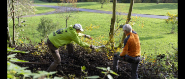 Event-Image for 'WWF-Kurs - Wieselburgen bauen auf dem Kollektivhof Waldh'